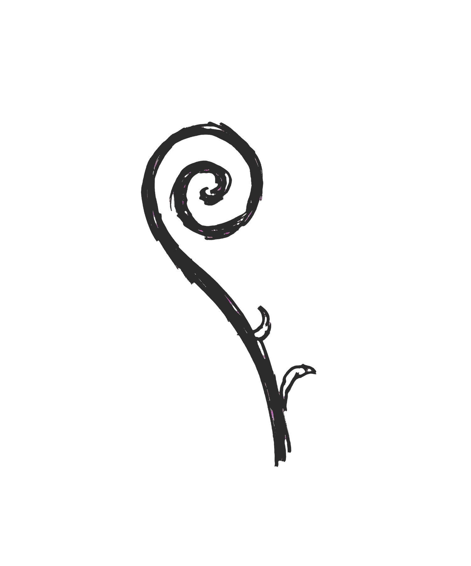Fiddlehead