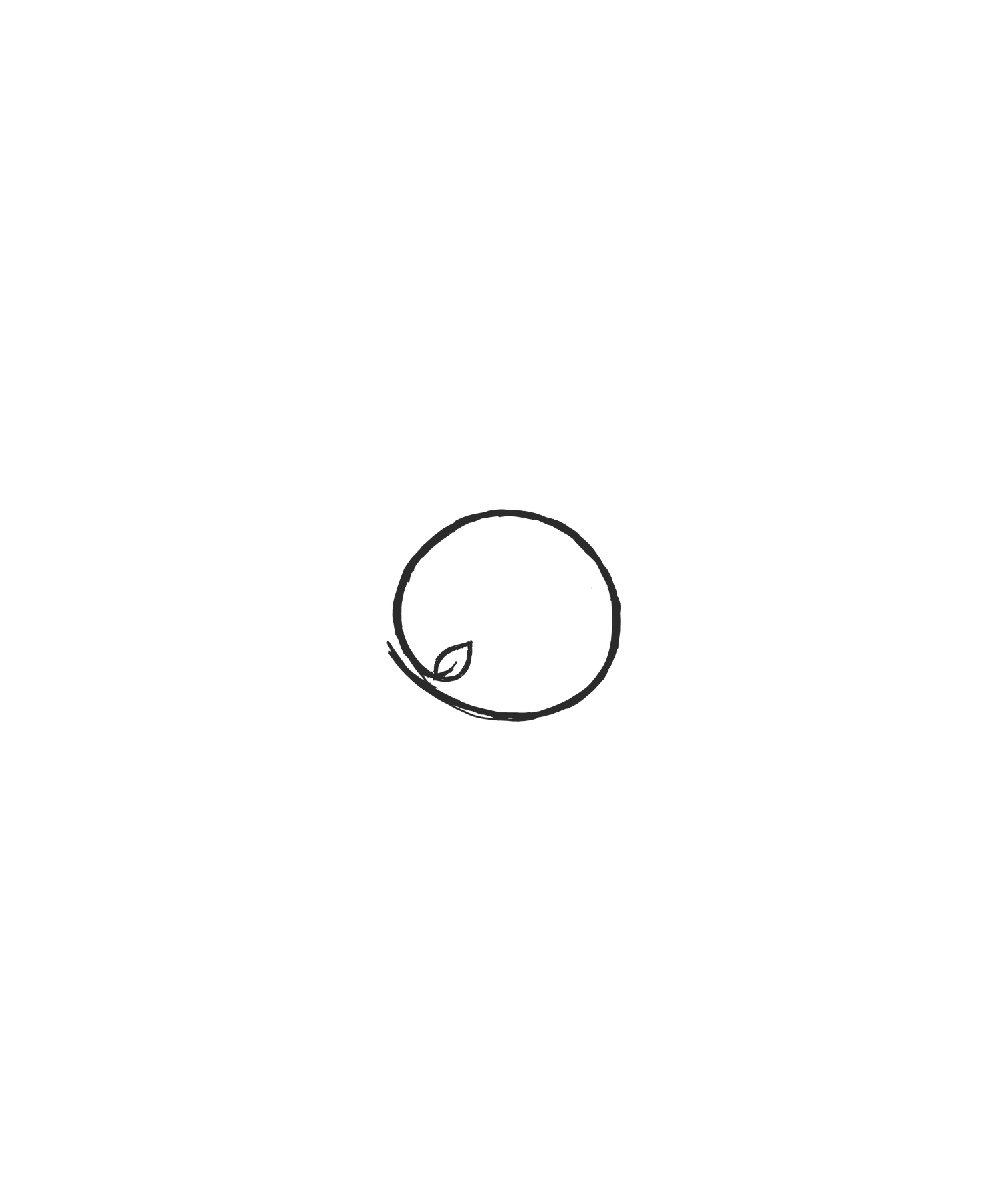 Orbit